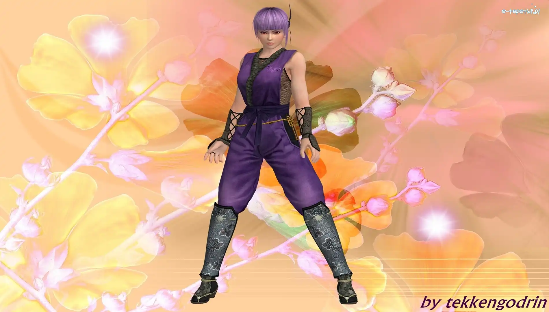 Grafika, Ayane, Dead Or Alive 5
