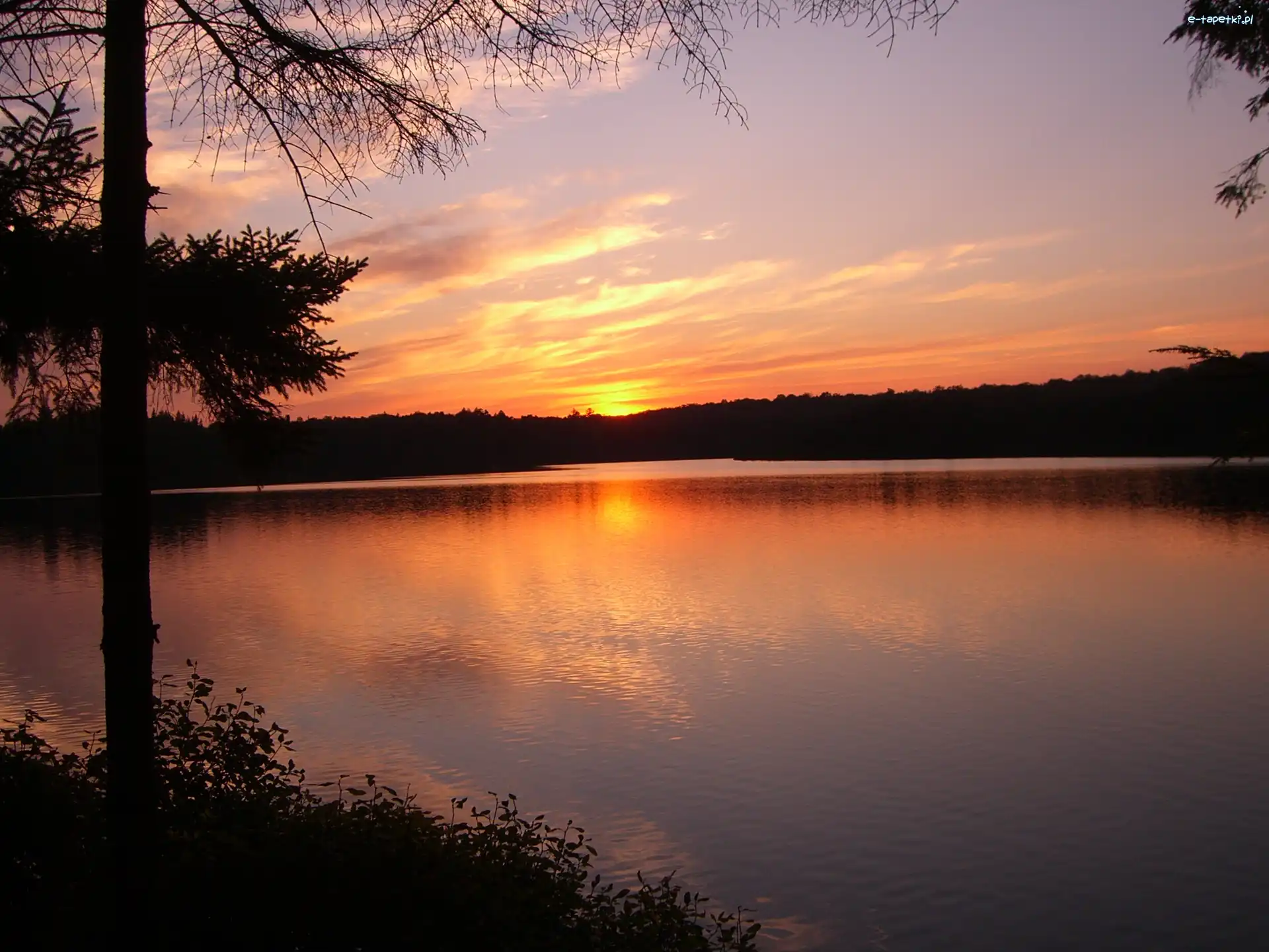 Zachód Słońca, Drzewo, Jezioro