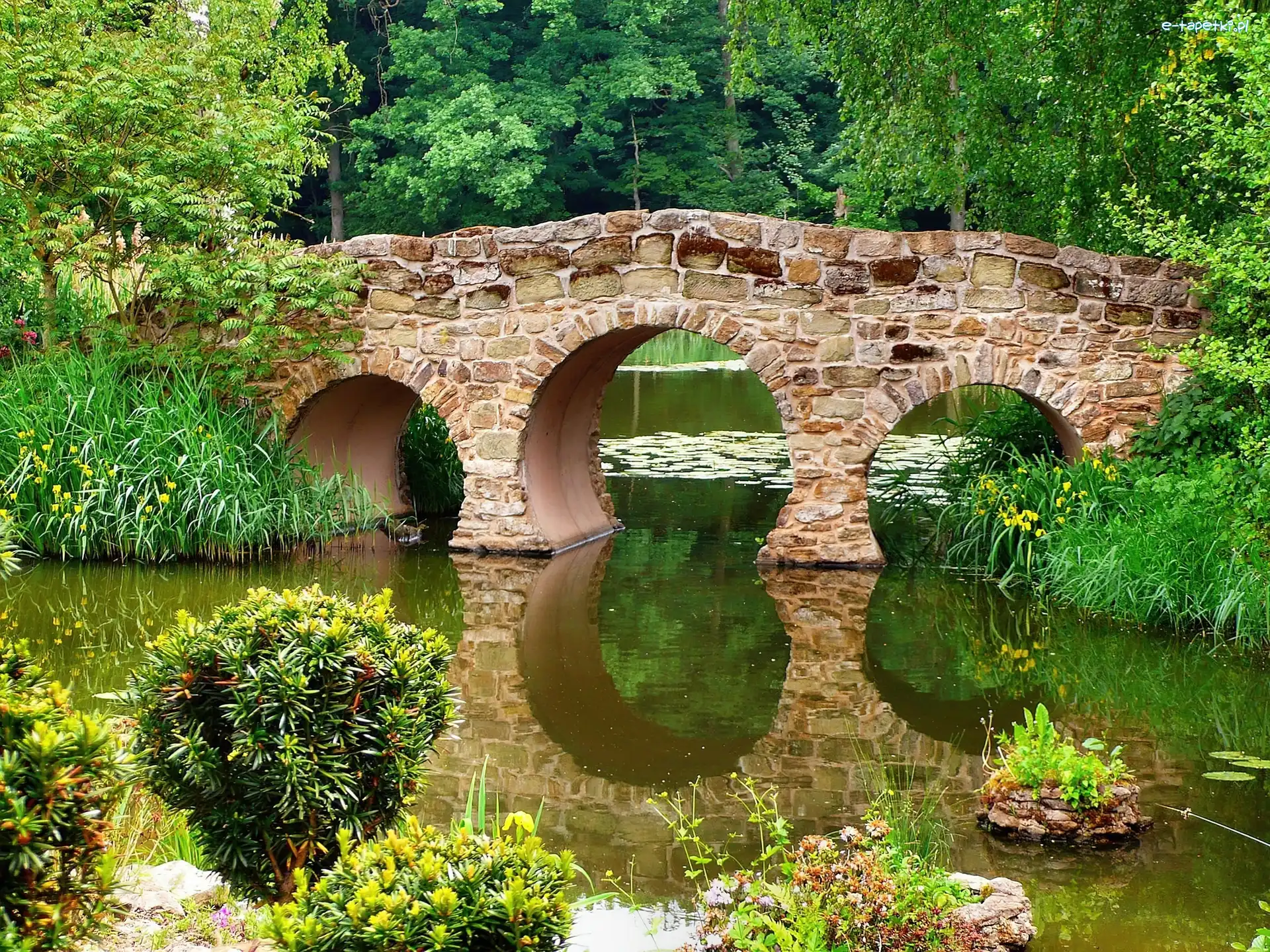 Rzeka, Most, Kamienny, Park