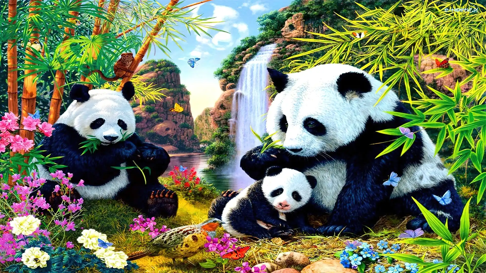 Pandy, Rośliny, Kwiaty, Misie