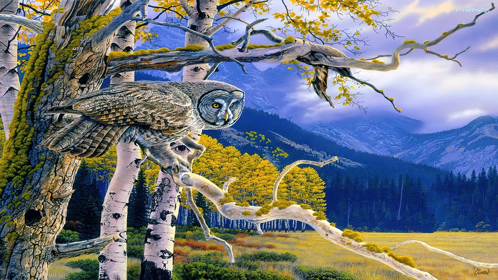 Puchacz, Góry, Drzewa, Sowa