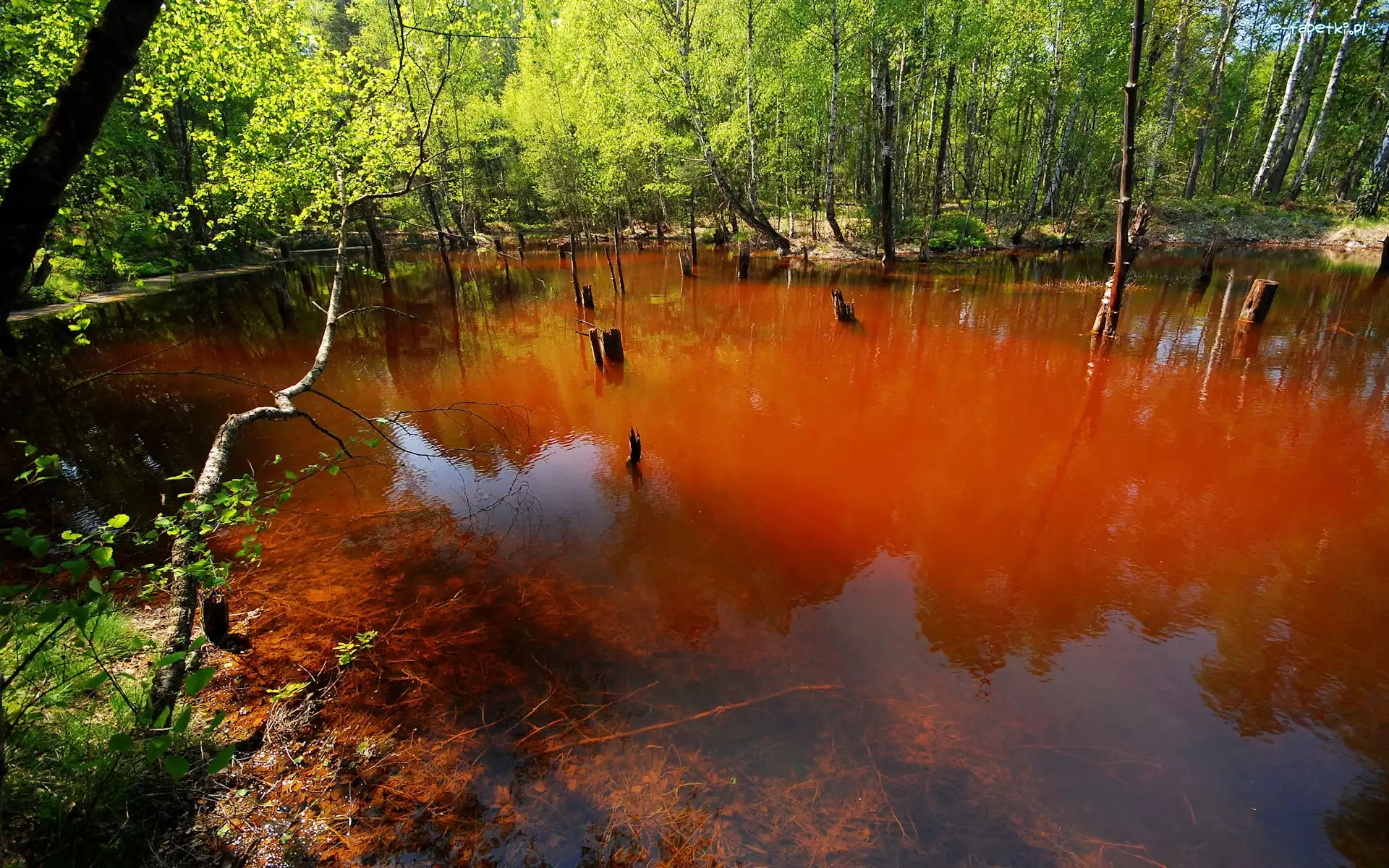 Antropogeniczne, Park, Łuk Mużakowa, Jezioro