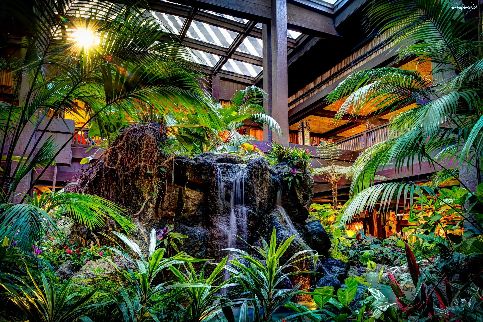 Botaniczny, Palmy, Kaskada, Ogród
