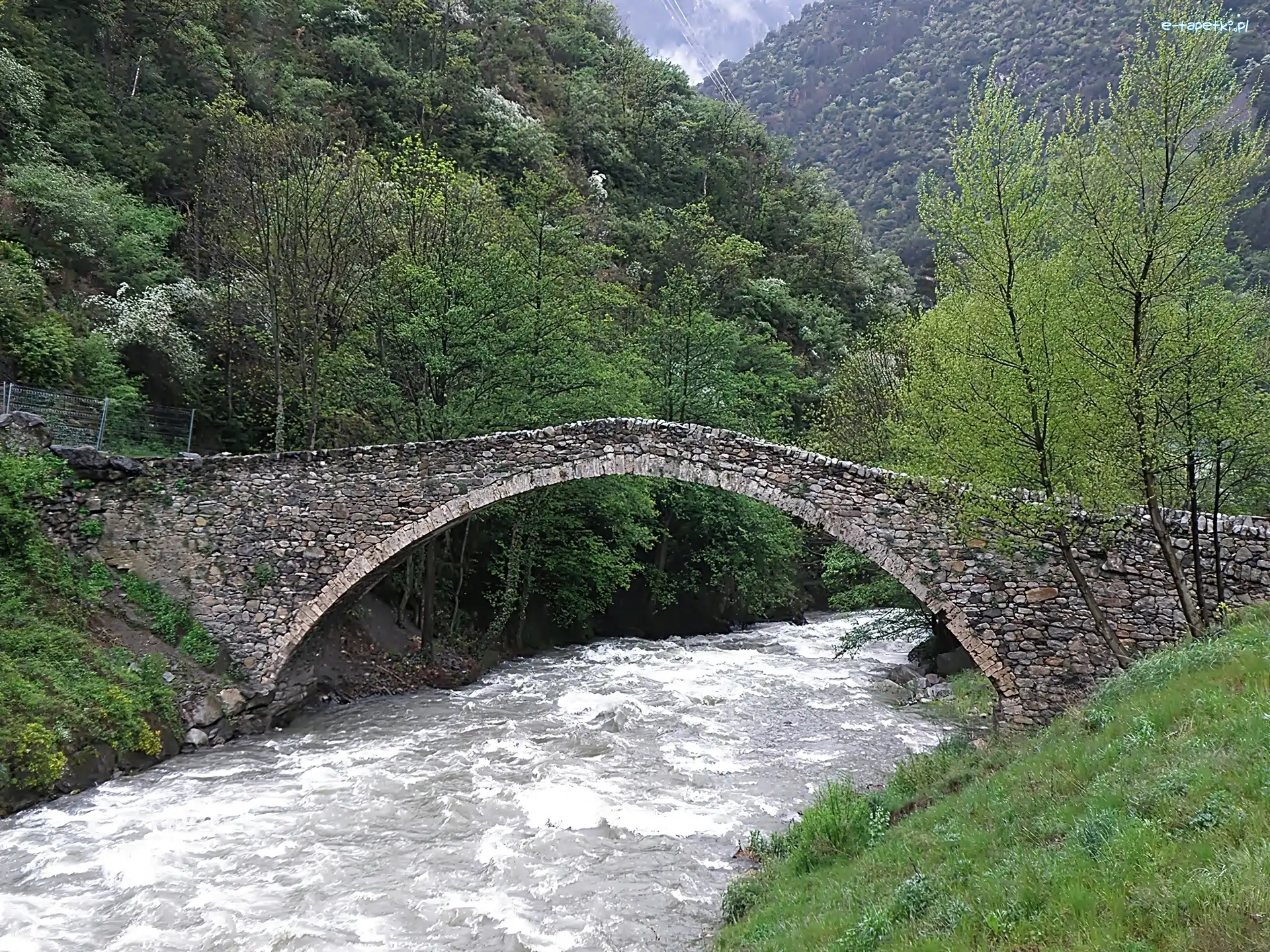Mostek, Las, Rzeka, Pireneje, Andora, Kamienny, Valira