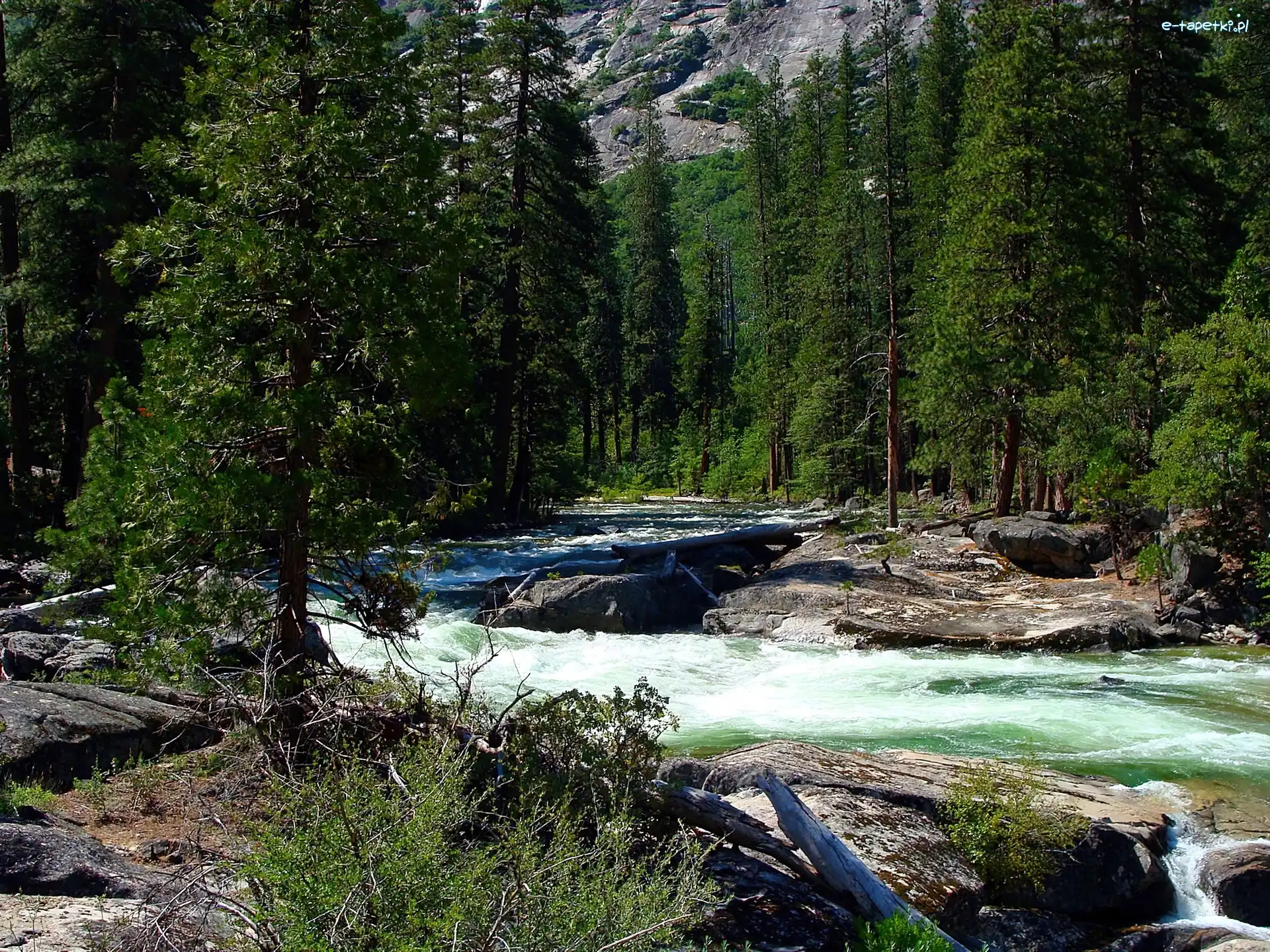 Stany Zjednoczone, Park Narodowy Yosemite, Stan Kalifornia, Rzeka, Las