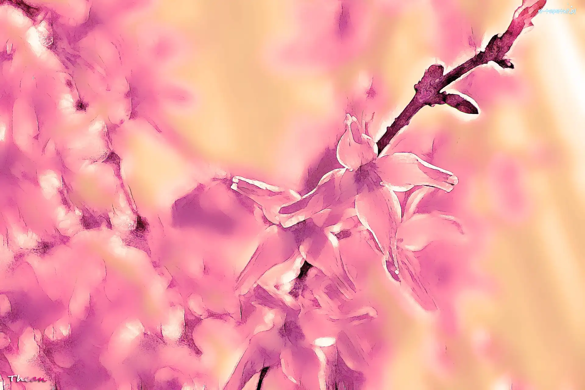 Fractalius, Grafika, Forsycja