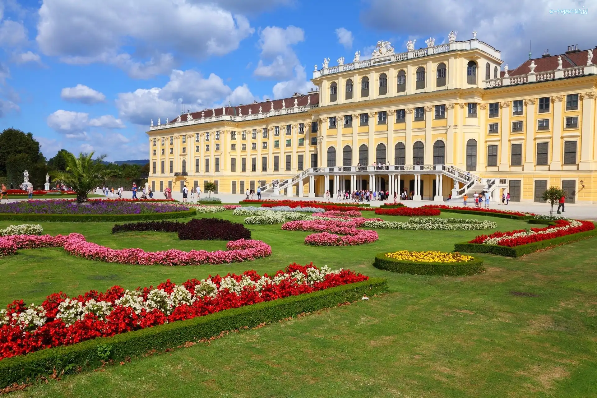 Ogrody, Schonbrunn, Pałac