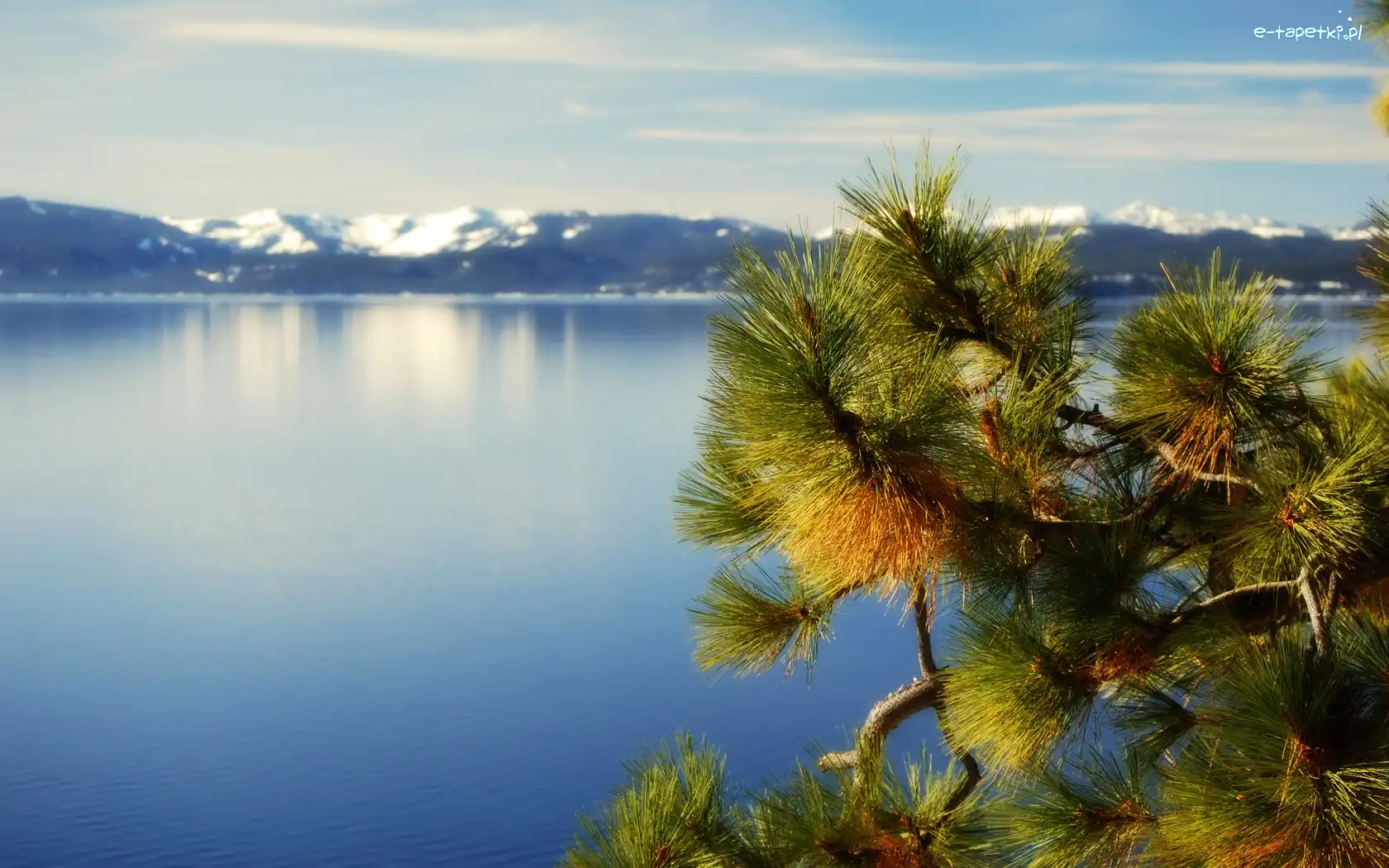 Jezioro, Gałązka, Góry, Kalifornia, Tahoe