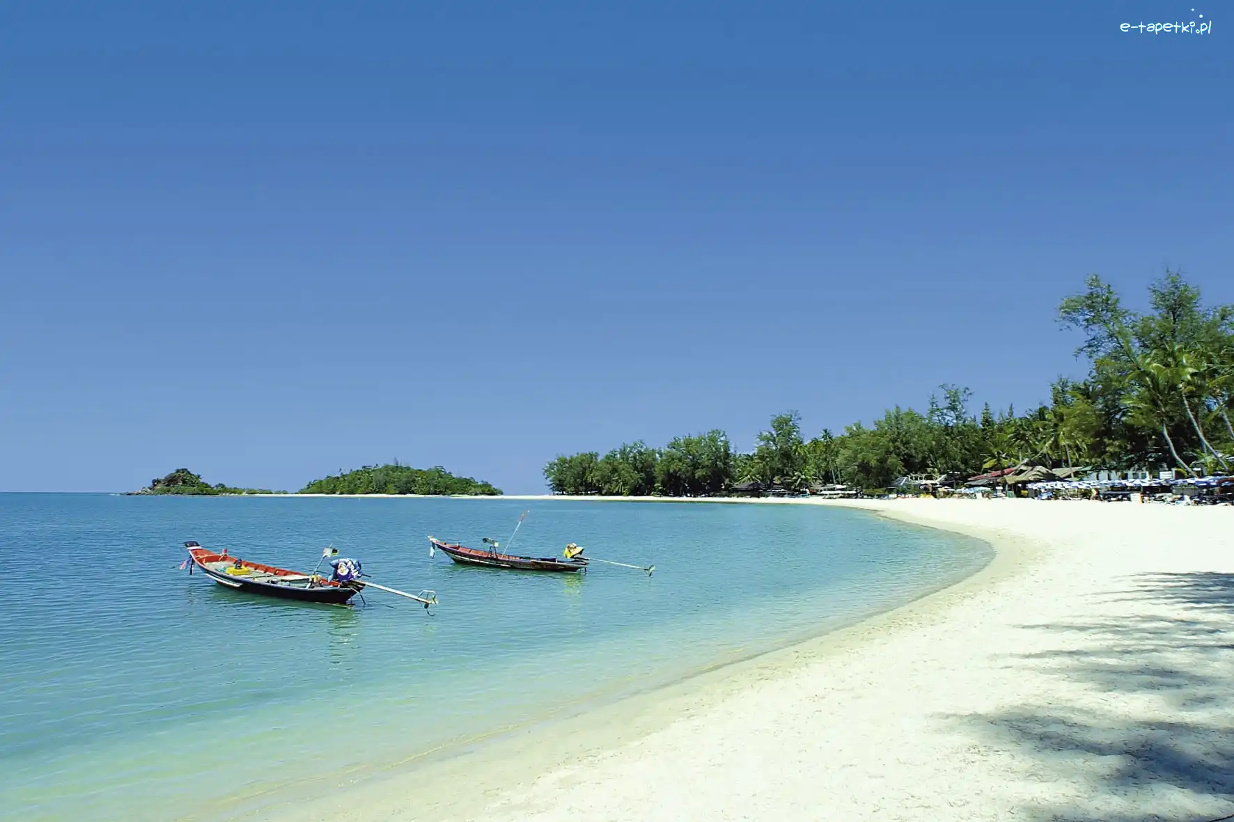 Plaża, Koh, Łodzie, Tajlandia, Samui