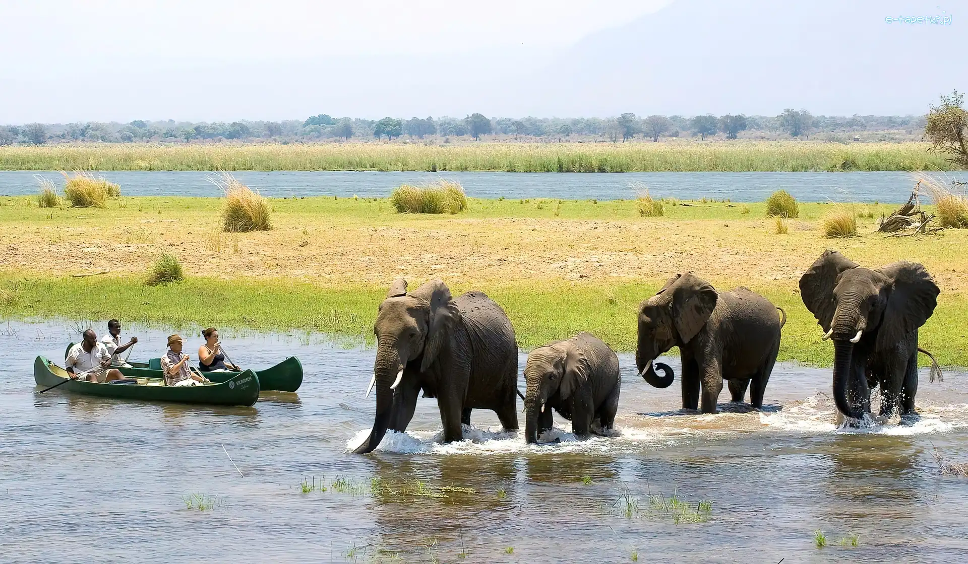 Rzeka, Zimbabwe, Łodzie, Słonie