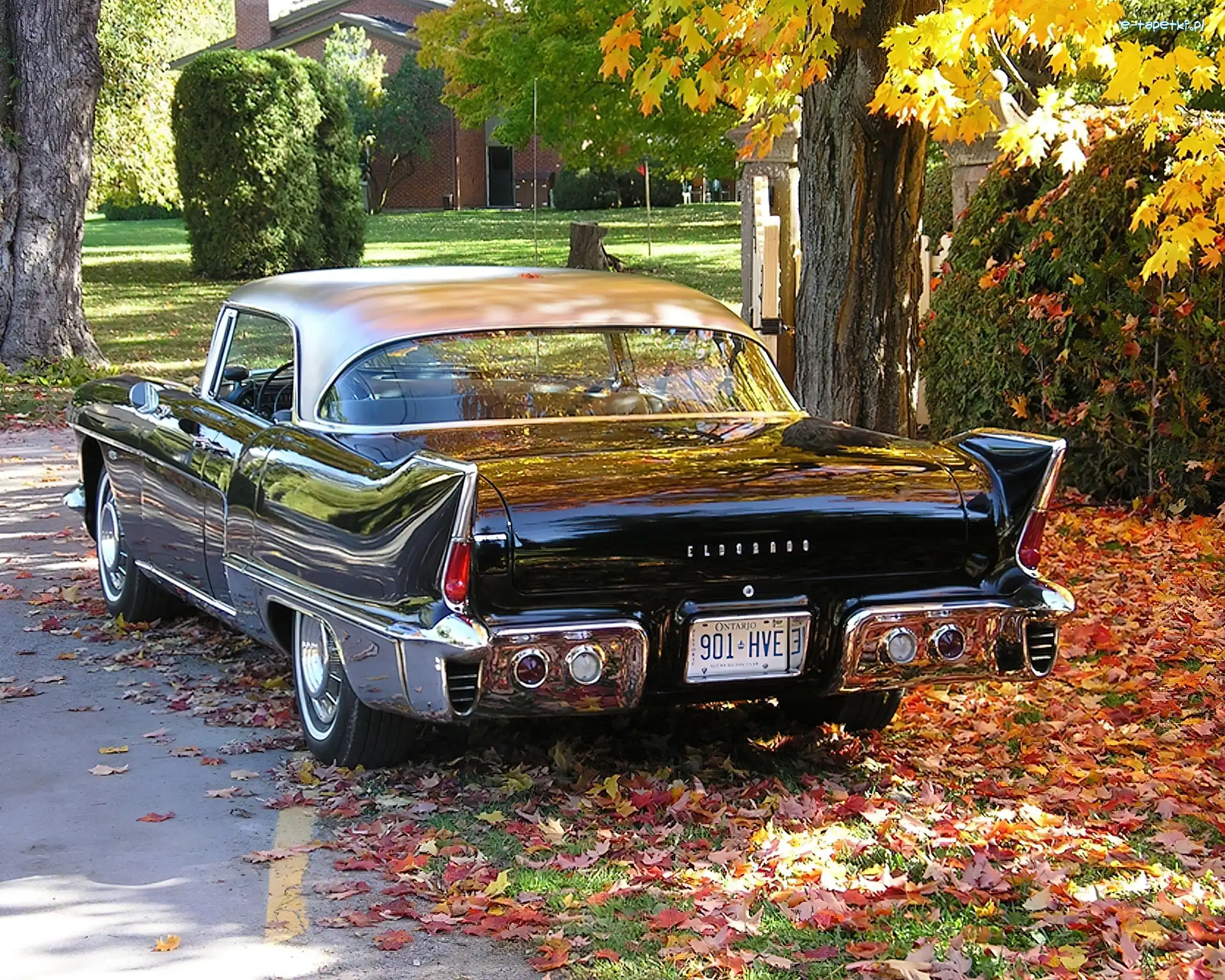 1956, Eldorado, Cadillac