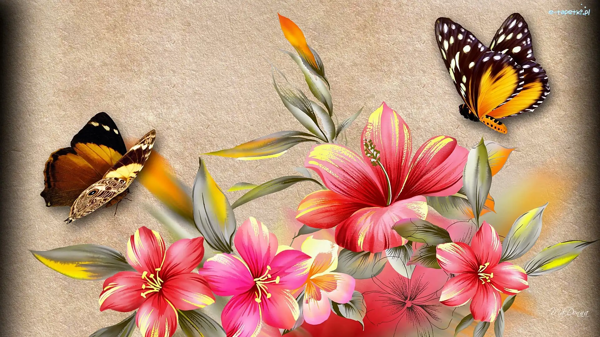 Hibiskus, Art, Motyle, Różowy
