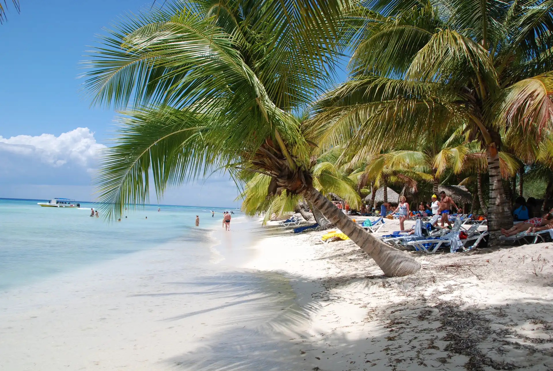 Plaża, Leżaki, Palmy, Wakacje, Tropiki