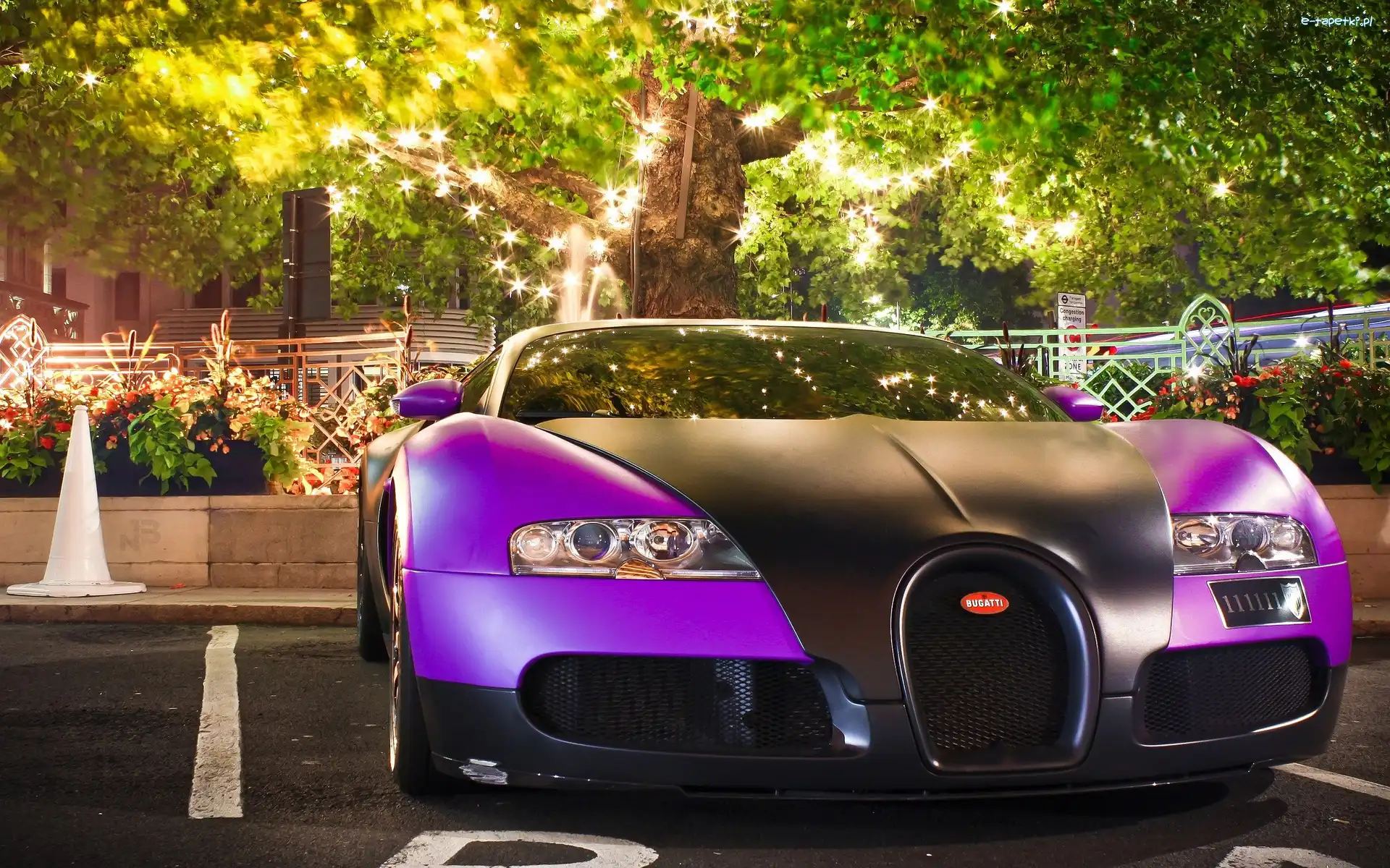 Bugatti Veyron, Fioletowy