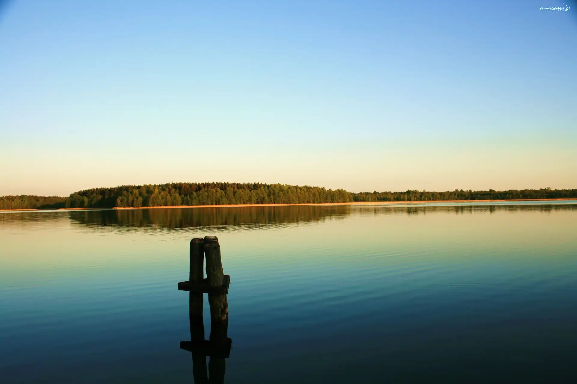 Cumowania, Kołek, Do, Łodzi, Las, Jezioro