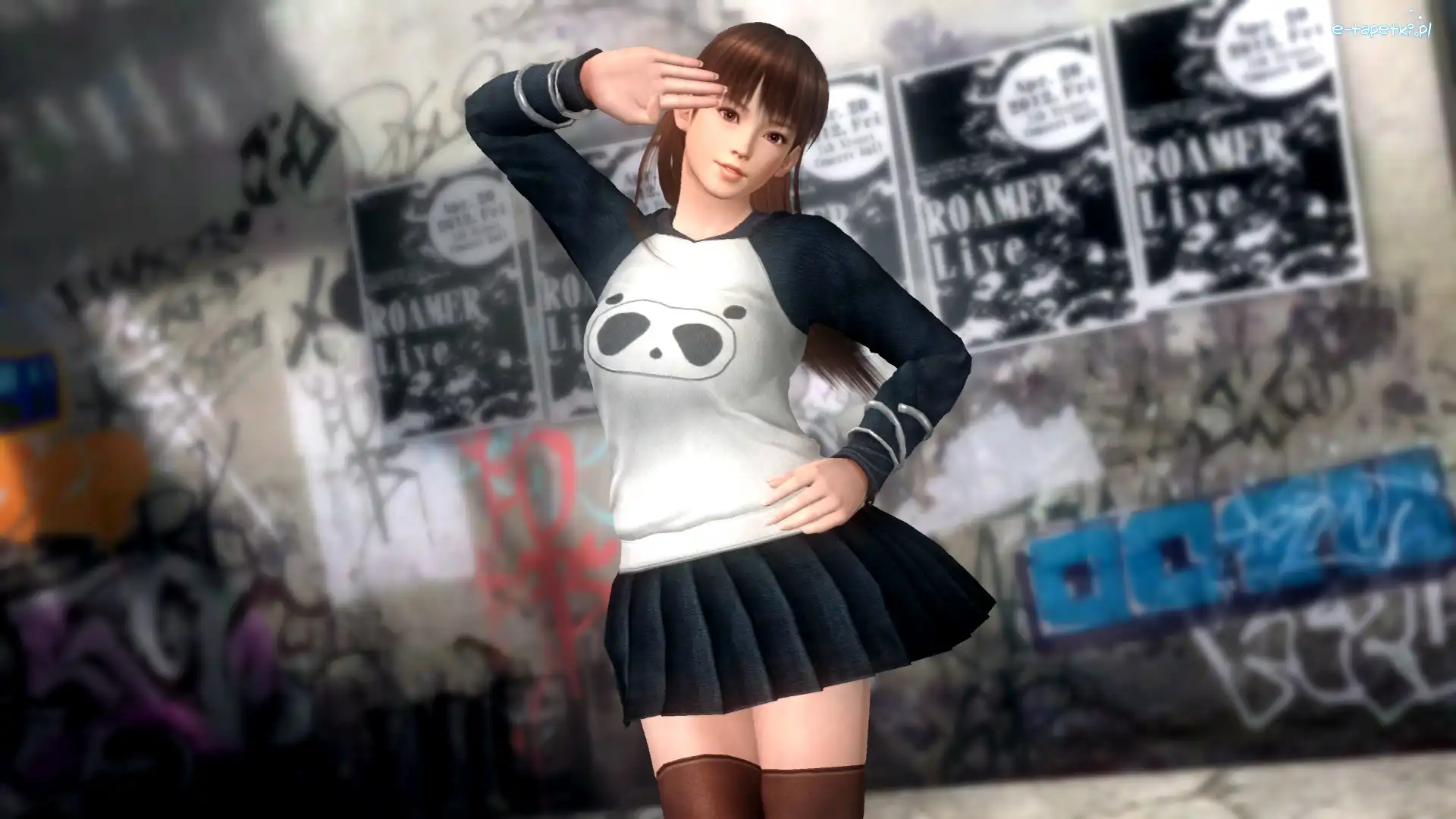 Lei Fang, Dead Or Alive 5