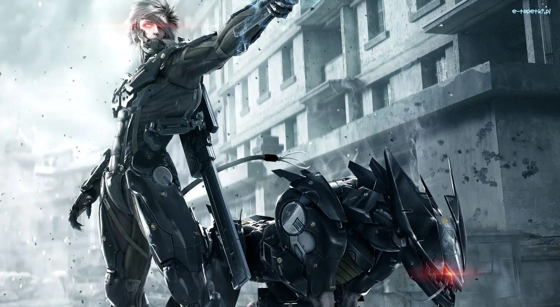 Raiden, Metal Gear Rising Revengeance