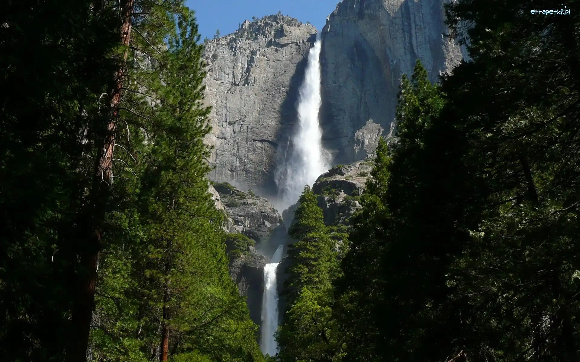 Drzewa, Park Narodowy Yosemite, Wodospad, Stan Kalifornia, Stany Zjednoczone, Skały, Góry