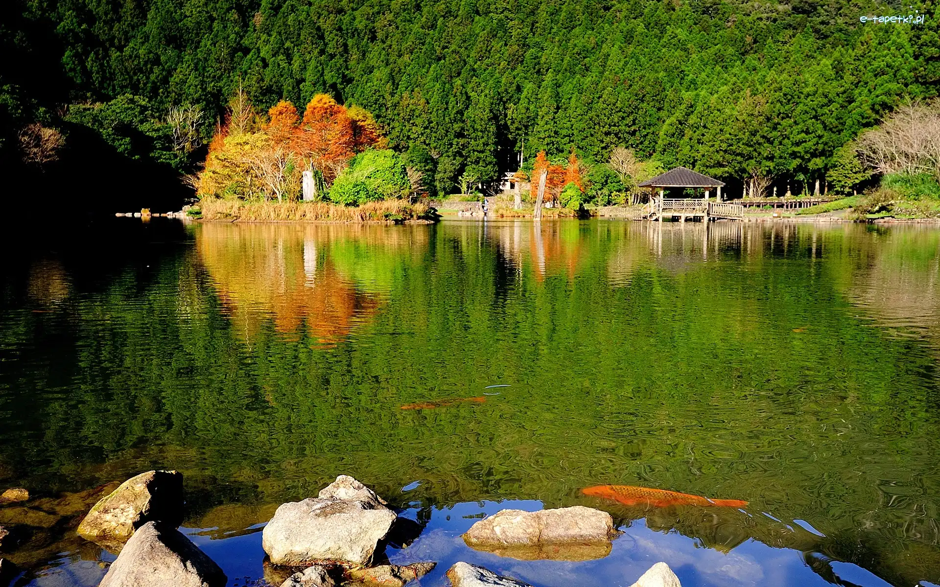 Las, Kamienie, Jezioro