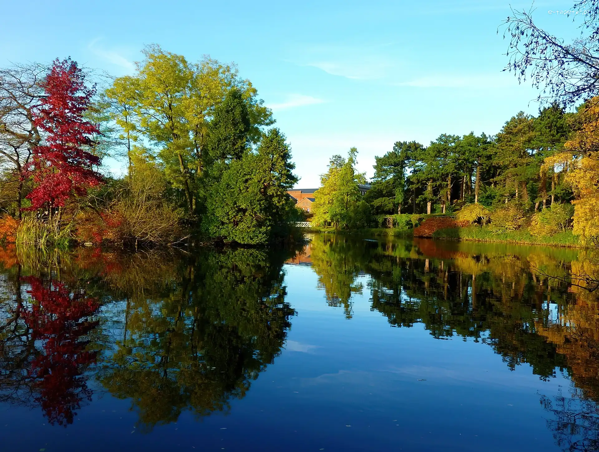 Park, Odbicie, Jeziorko, Jesień