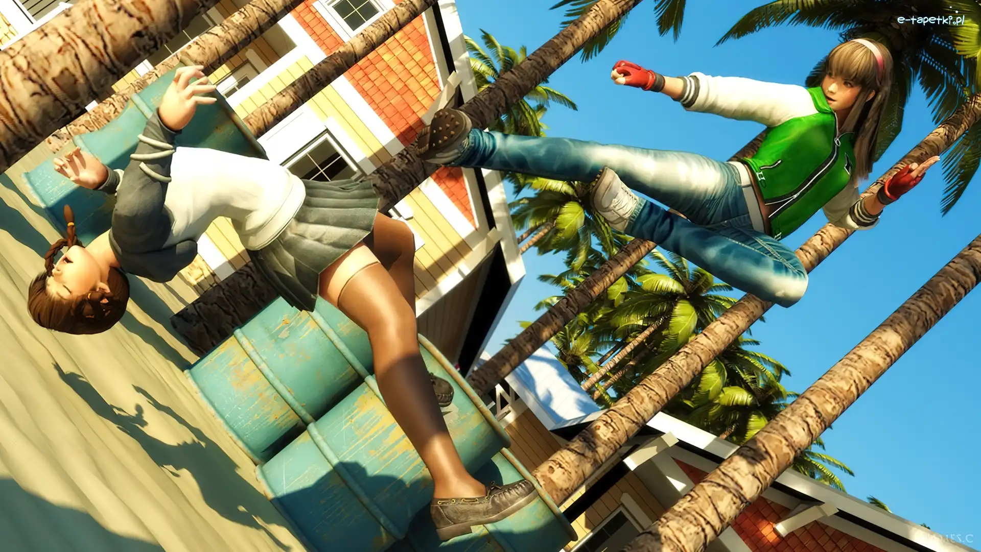 Lei Fang, Hitomi, Dead Or Alive 5