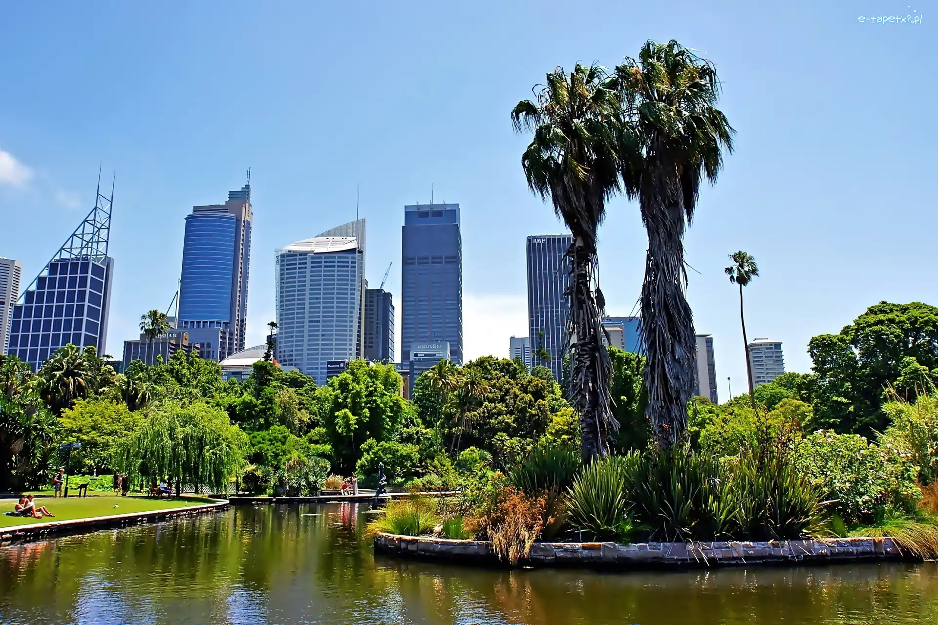 Brisbane, Chmur, Drapacze, Miejski, Park