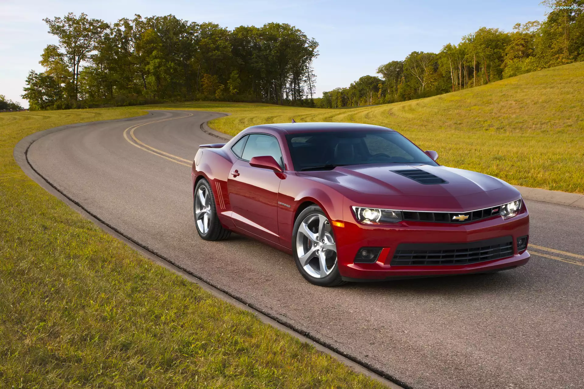 Chevrolet, Droga, Czerwony, Camaro SS, Łąka, Las