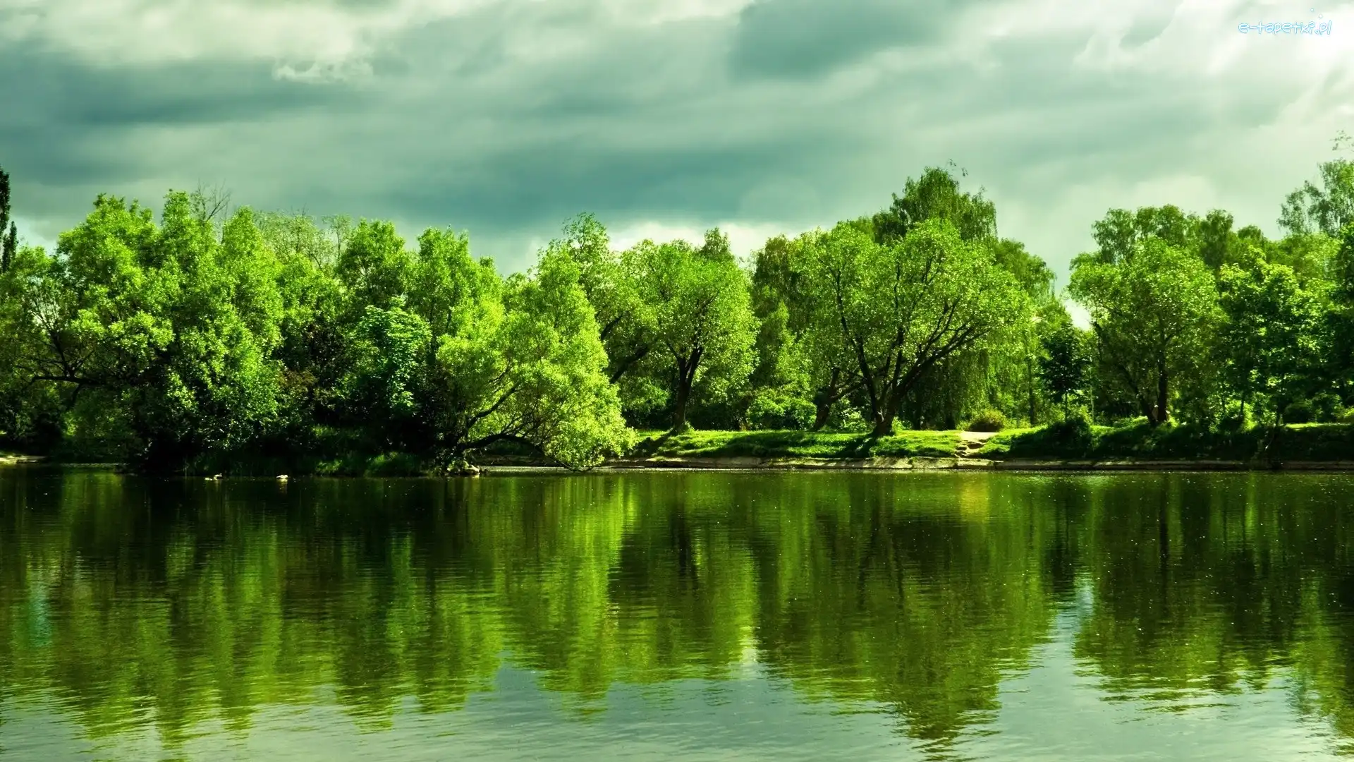 Odbicie, Drzewa, Jezioro