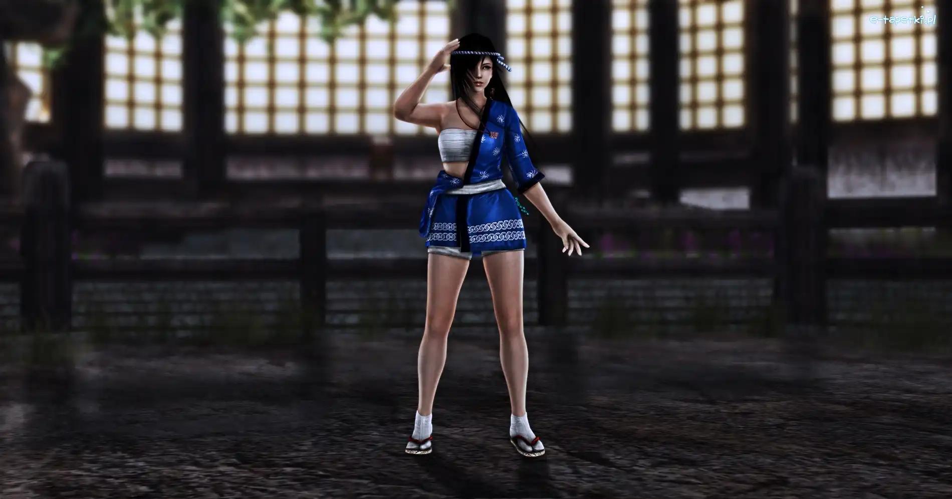 Kokoro, Dead Or Alive 5