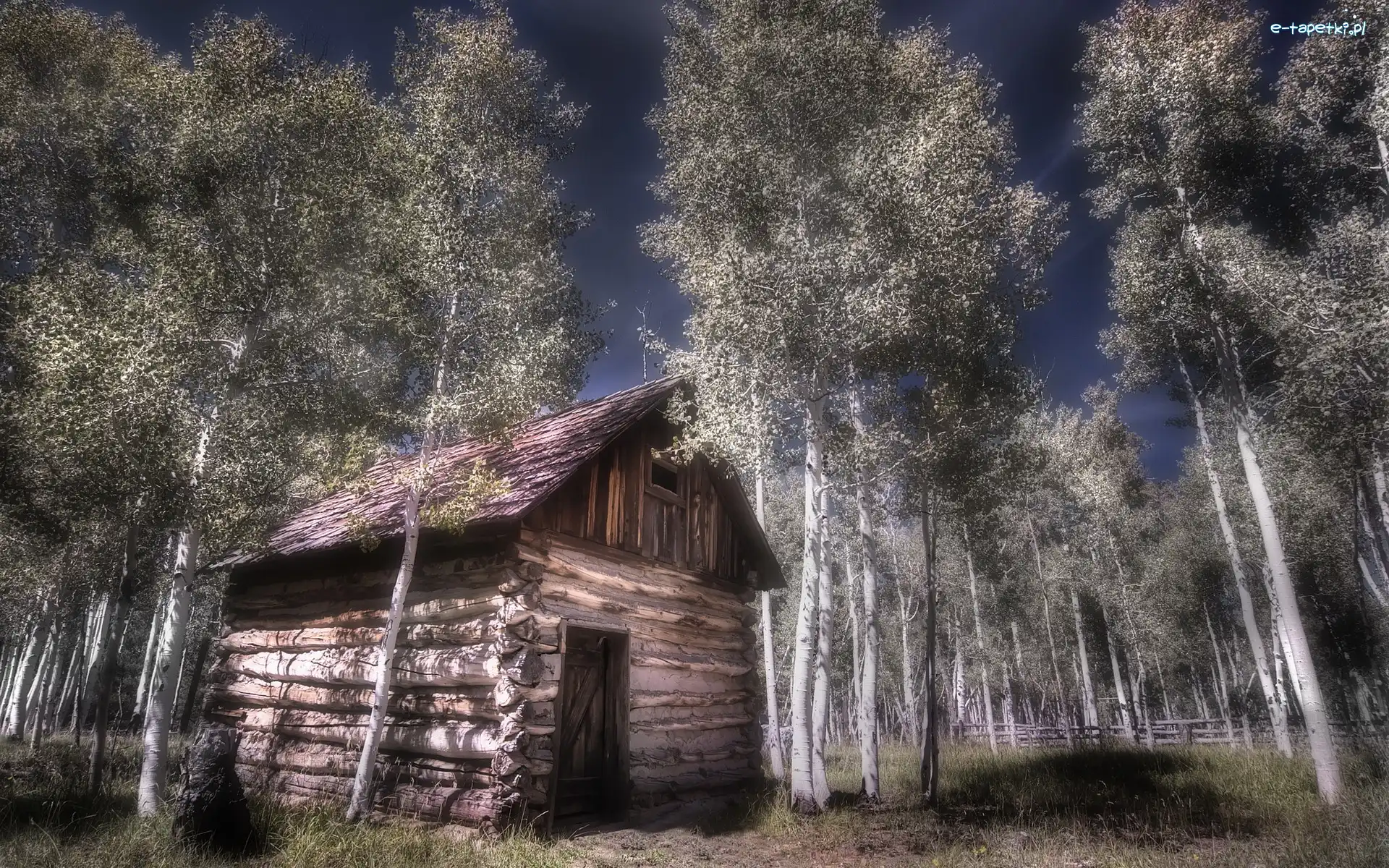 Domek, Drzewa
