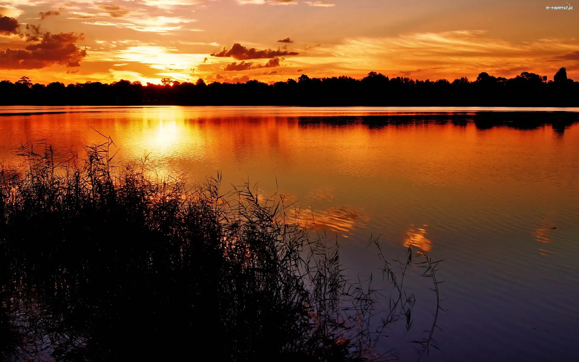 Słońca, Jezioro, Las, Zachód