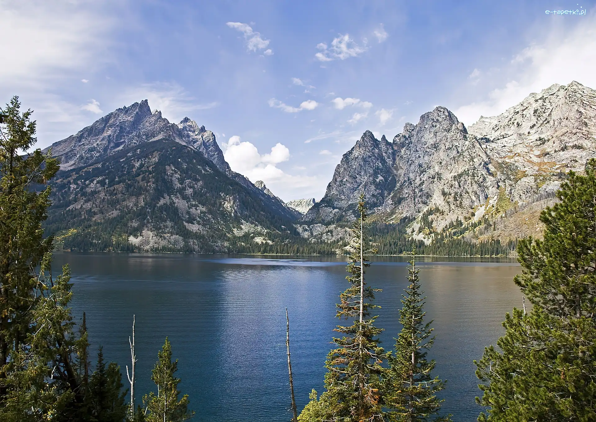 Jezioro, Drzewa, Góry, Wyoming, Jeeny Lake