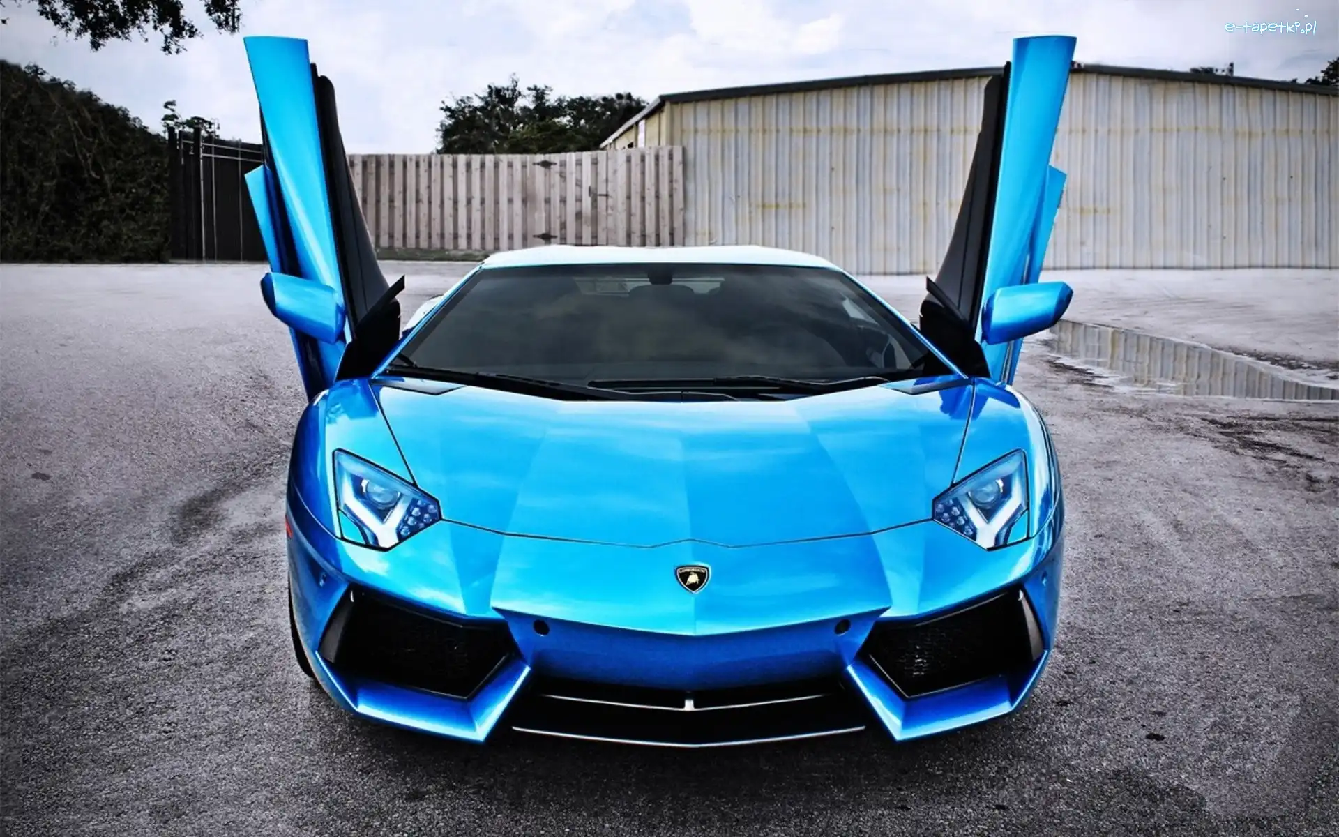 Lamborghini Aventador, Niebieski