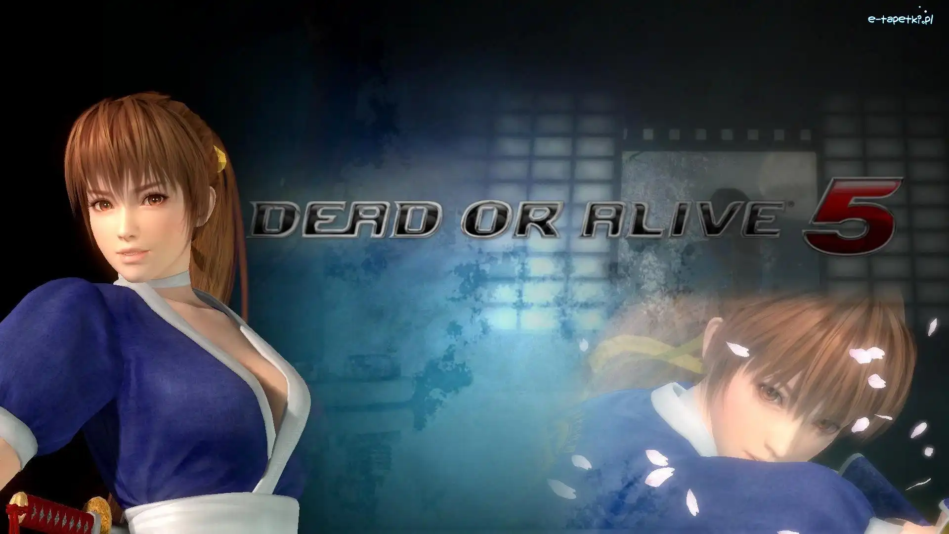 Kasumi, Dead Or Alive 5