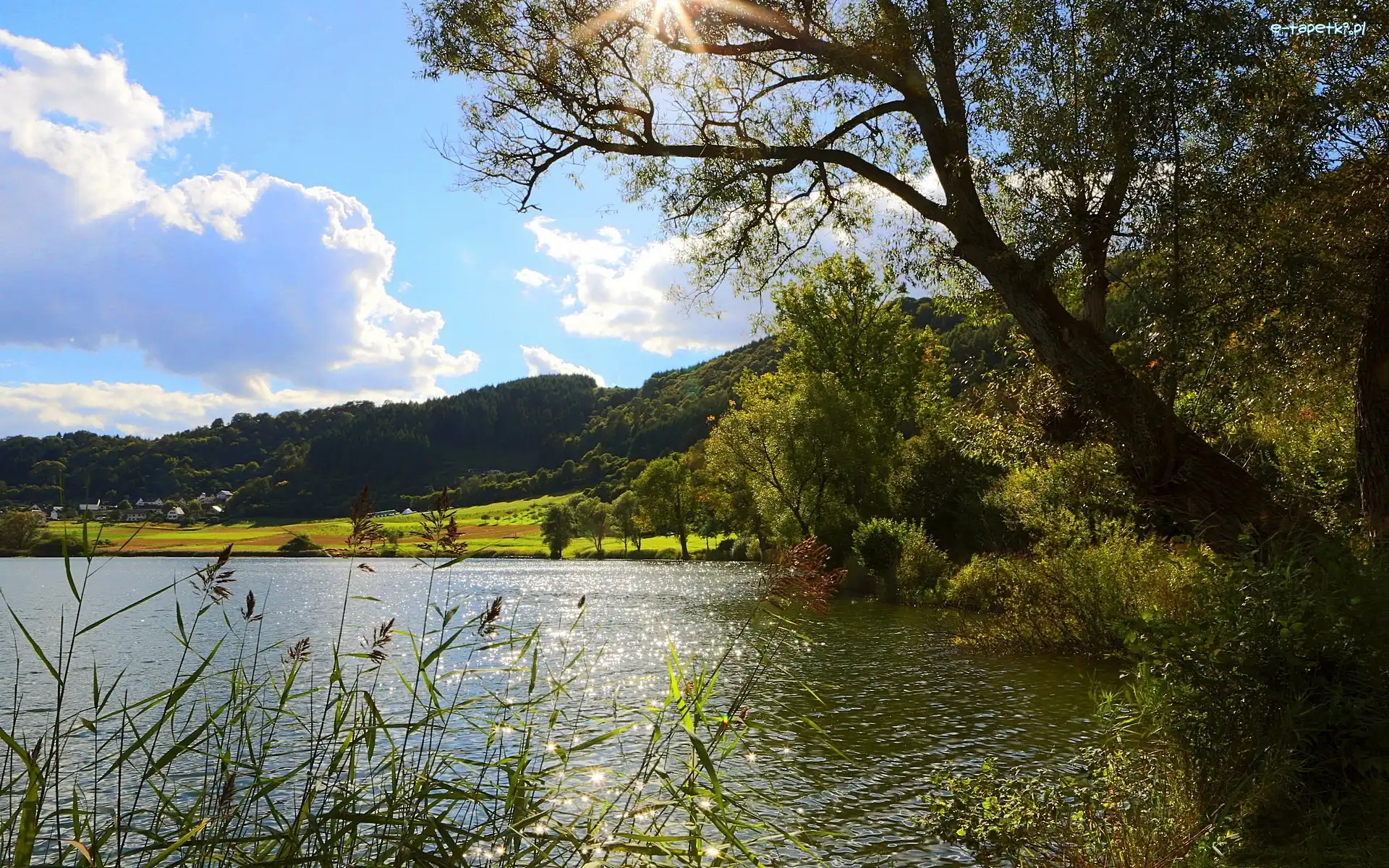 Szuwary, Lasy, Góry, Jezioro