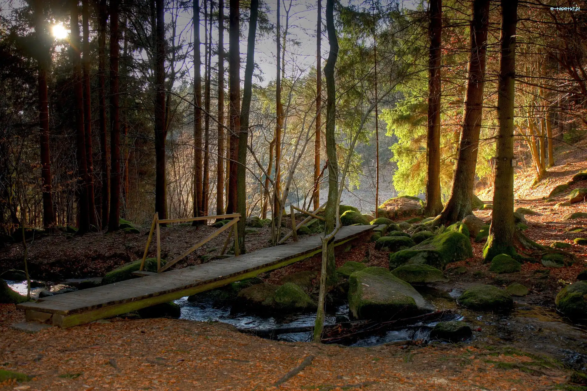Promienie, Kamienie, Kładka, Słońca, Potok, Las