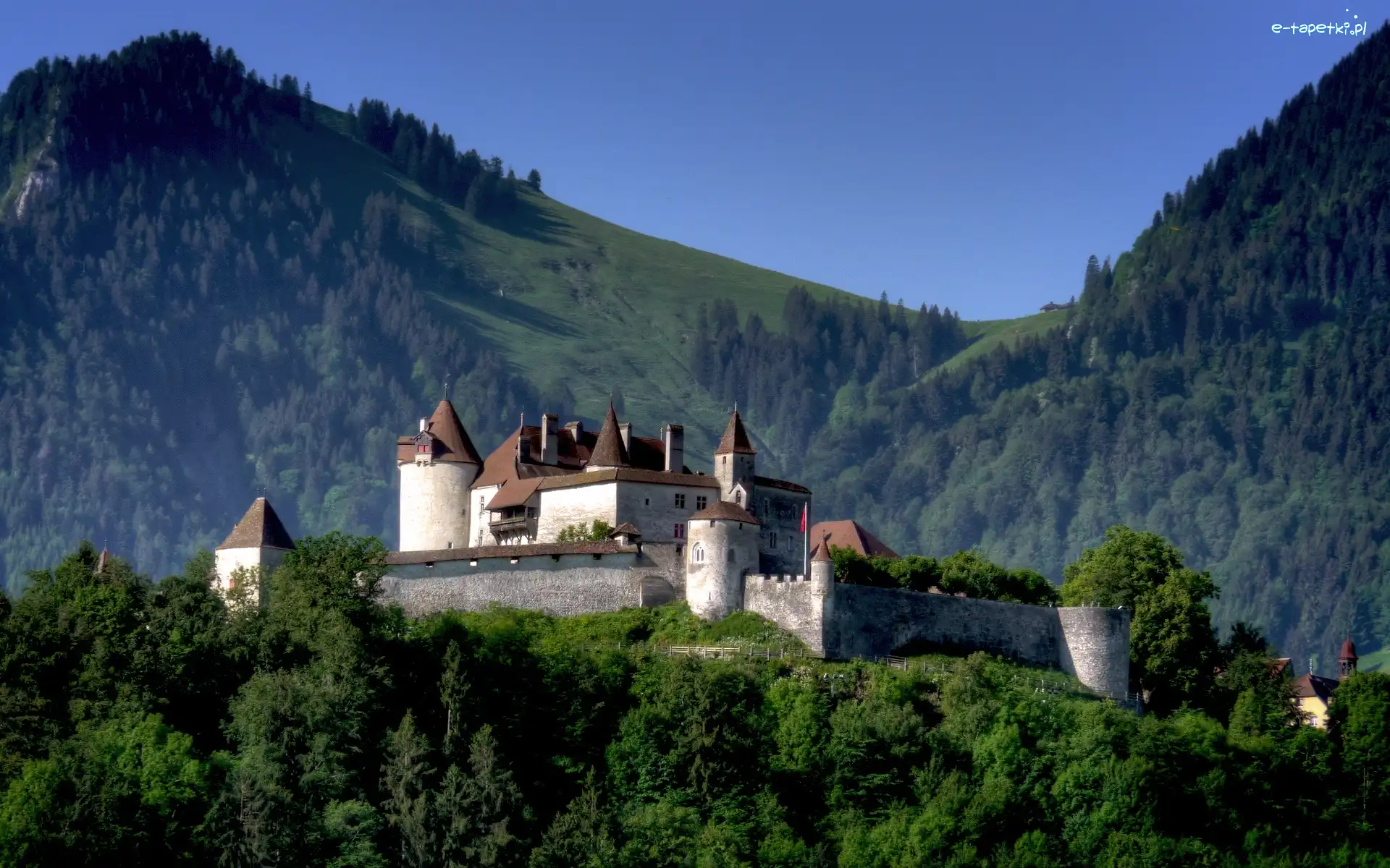 Szwajcaria, Gruyeres, Zamek