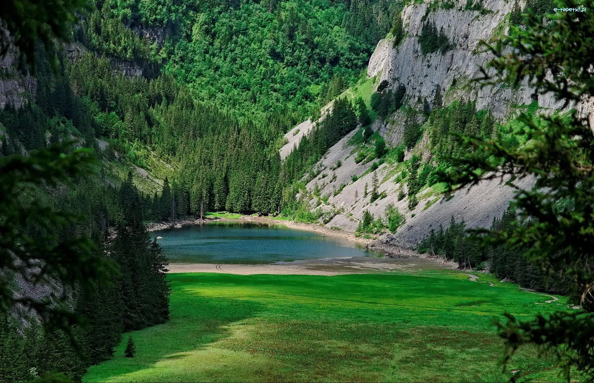 Lasy, Polana, Jezioro, Góry
