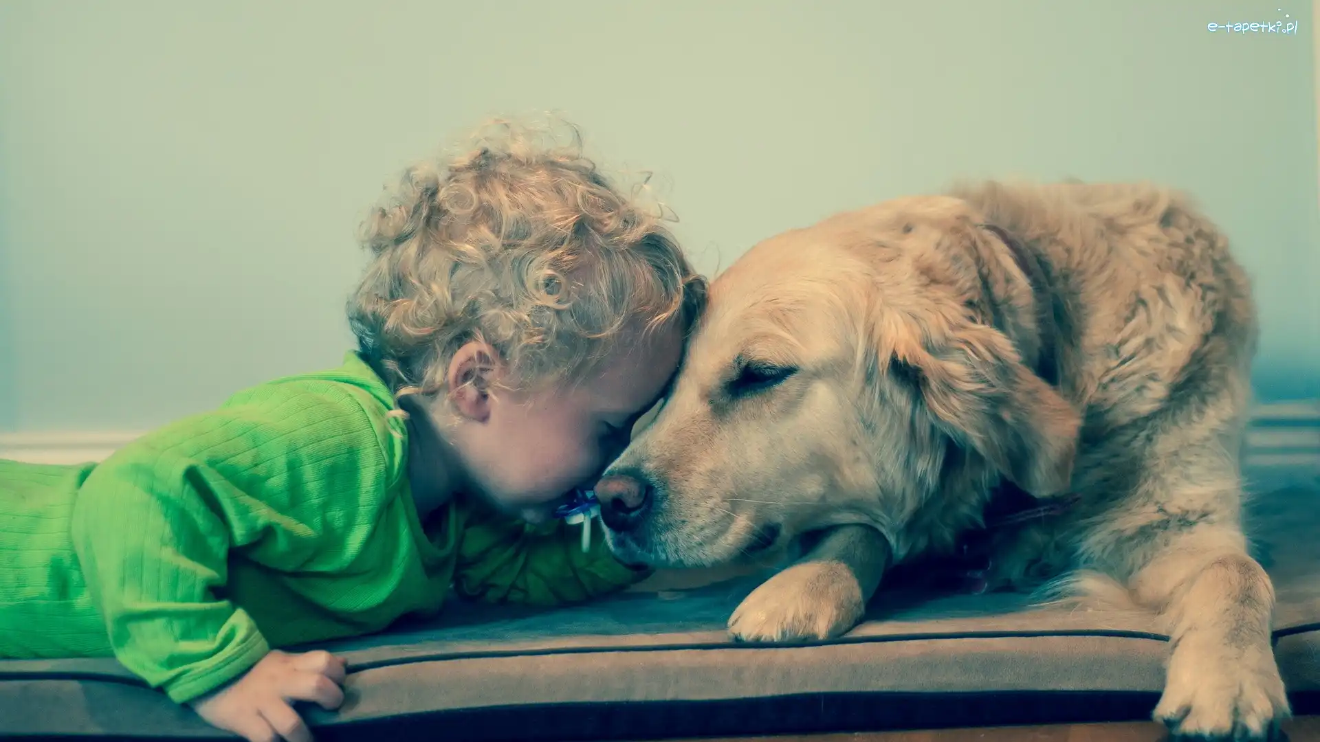 Dziecko, Golden Retriever, Piesek, Małe