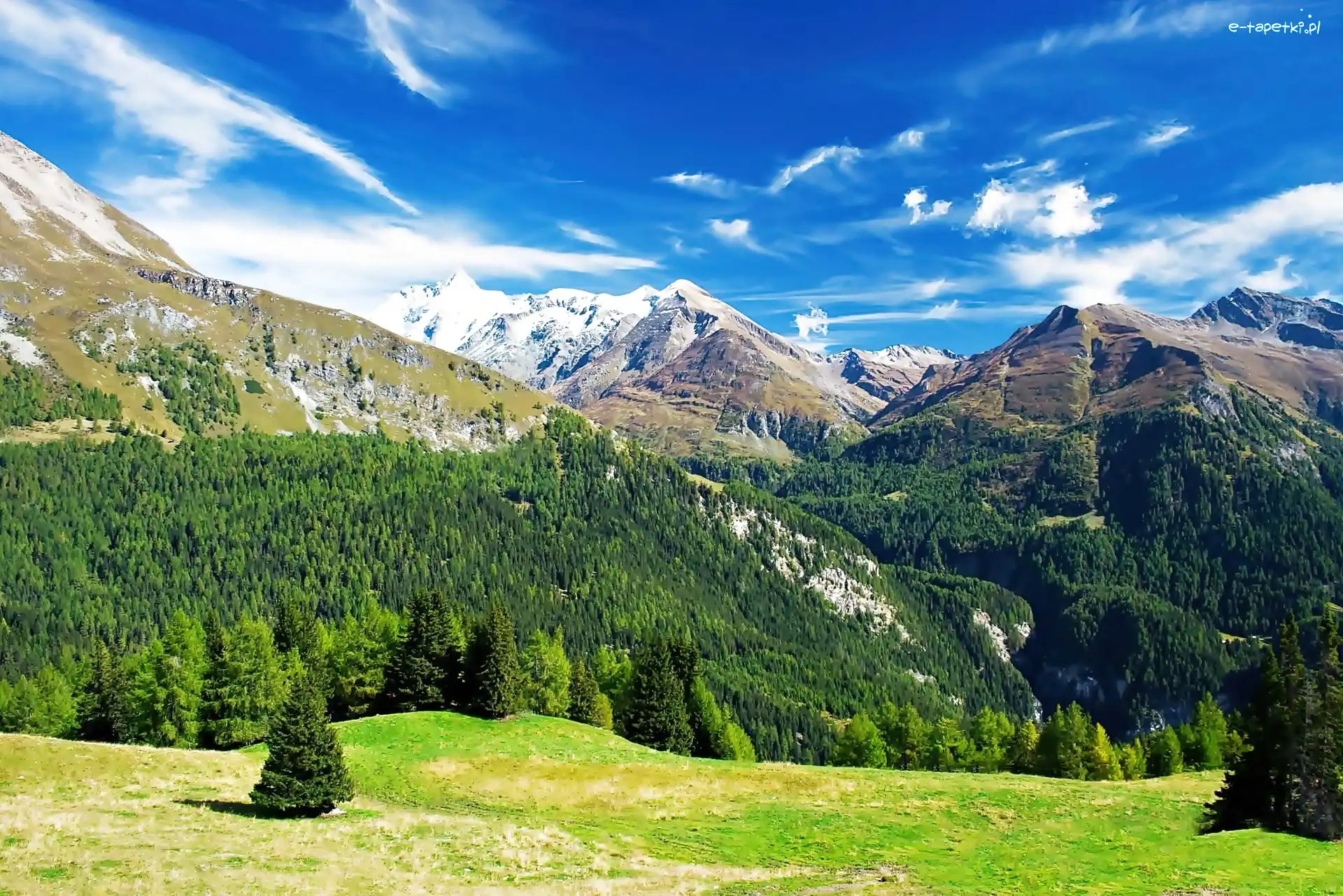 Austriackie, Łąka, Lasy, Alpy
