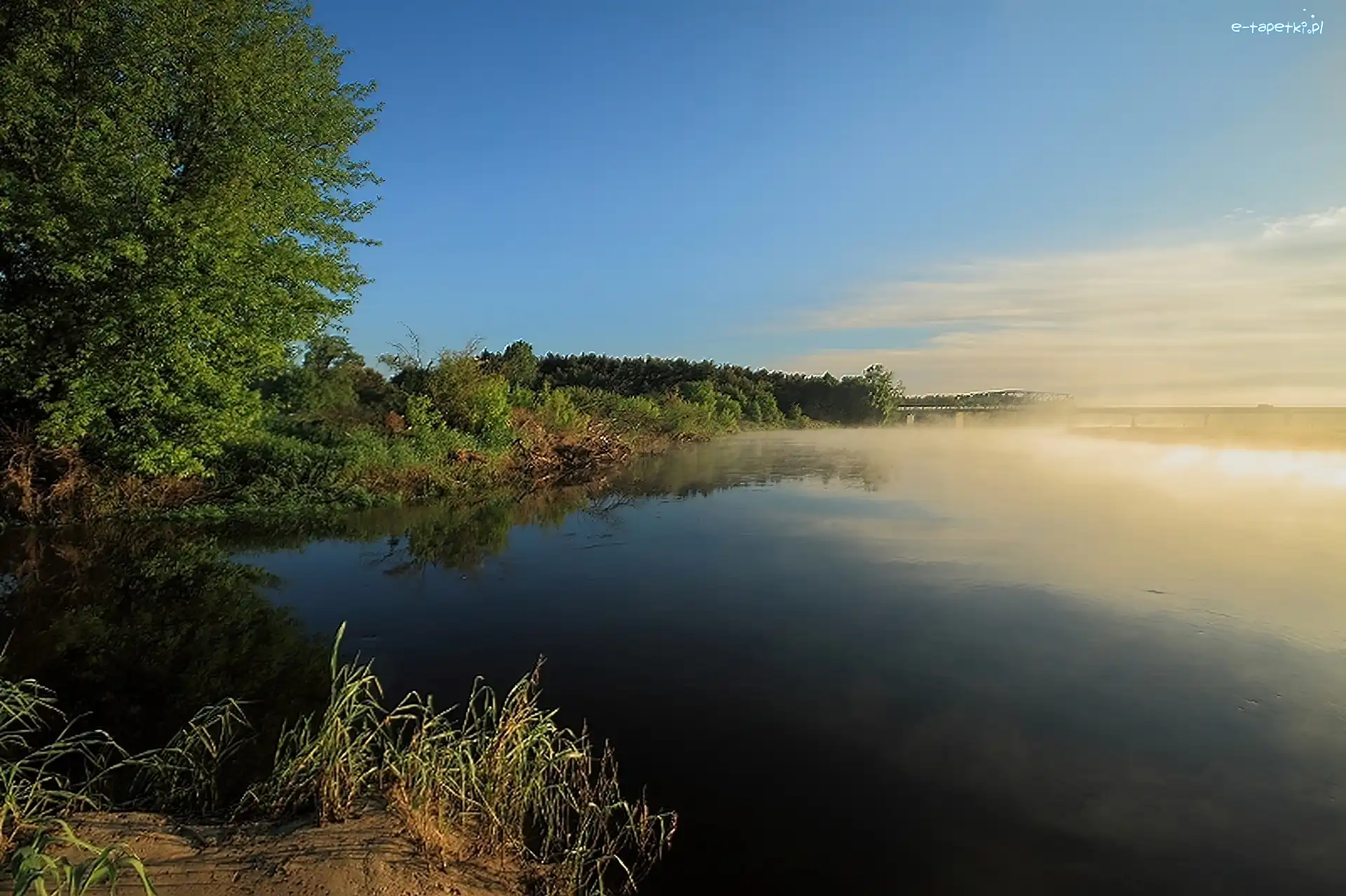 Las, Mgła, Jezioro