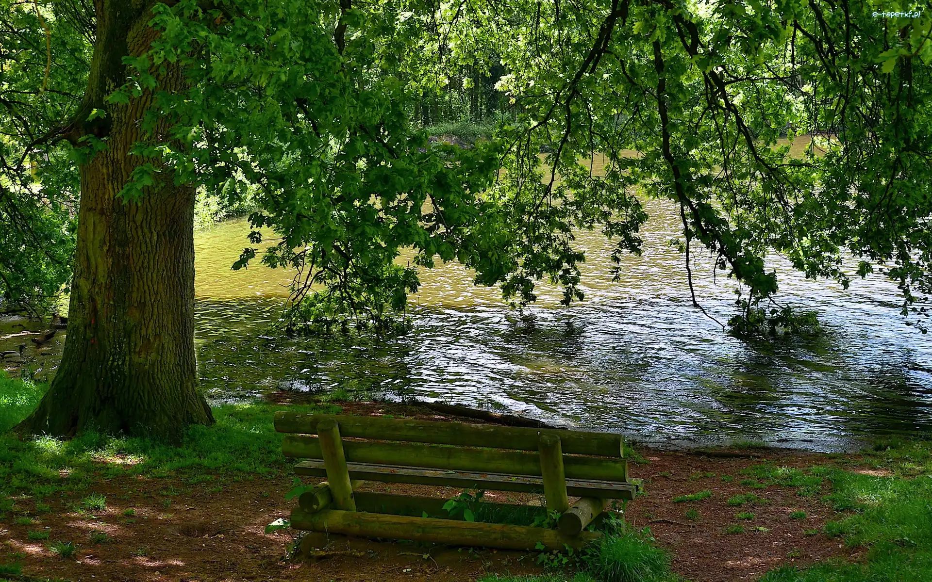 Rzeka, Ławka, Drzewo, Park
