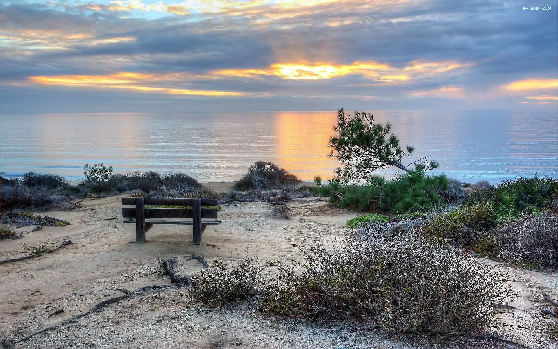 Morze, Ławeczka, Plaża, Słońca, Promienie