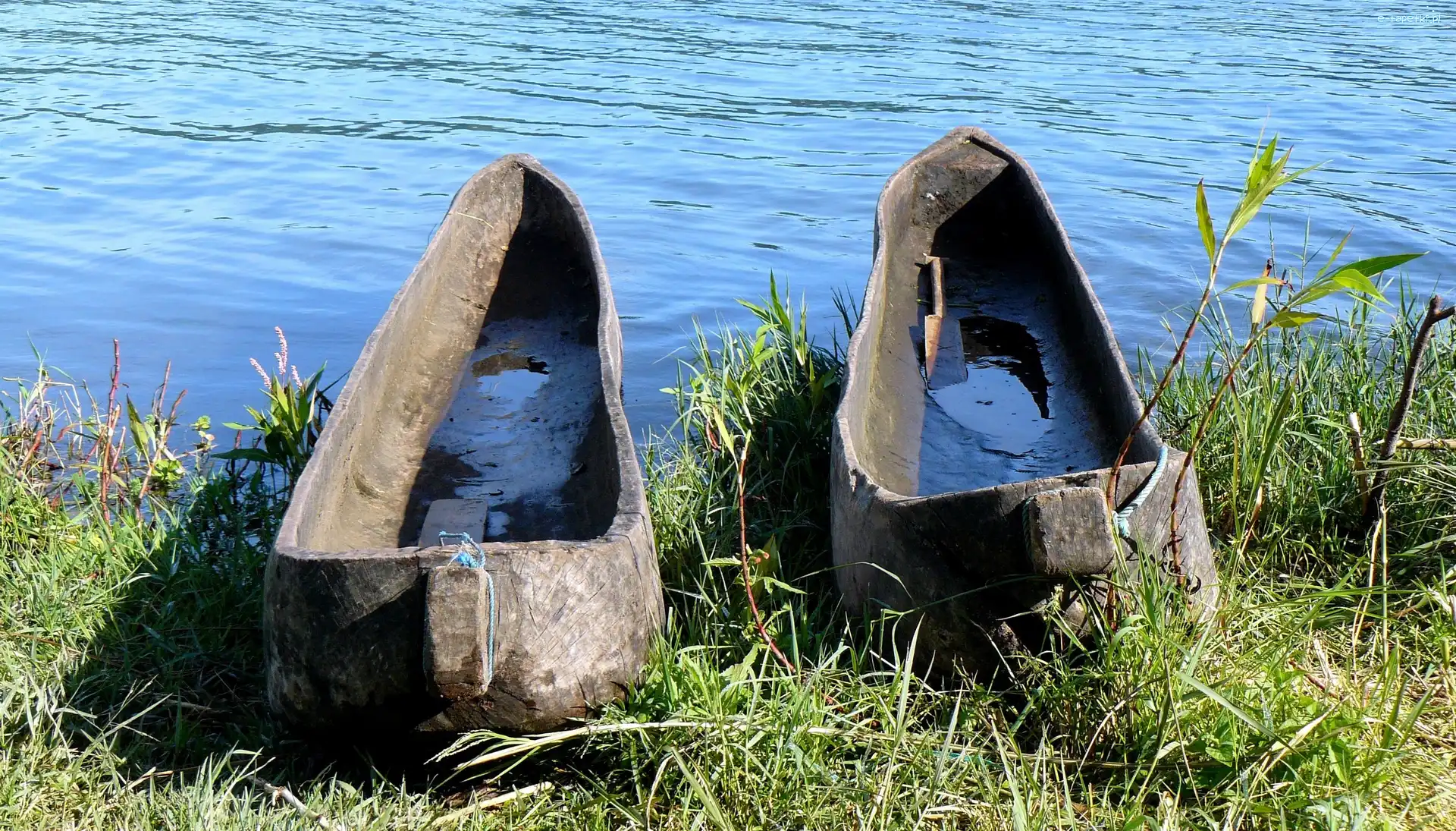 Jezioro, Trawa, Łódki, Indonezja, Bali