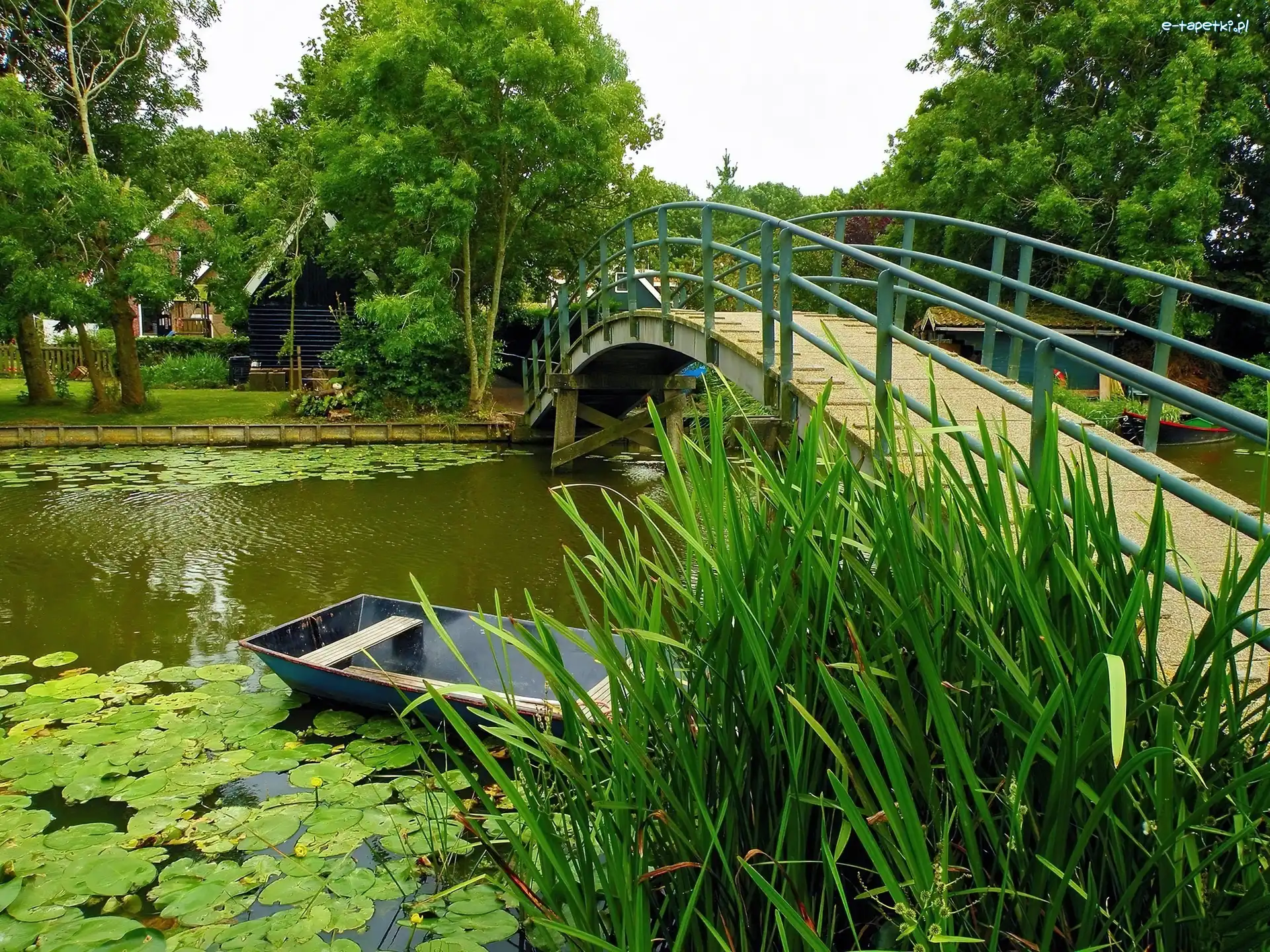 Staw, Łódka, Mostek, Park
