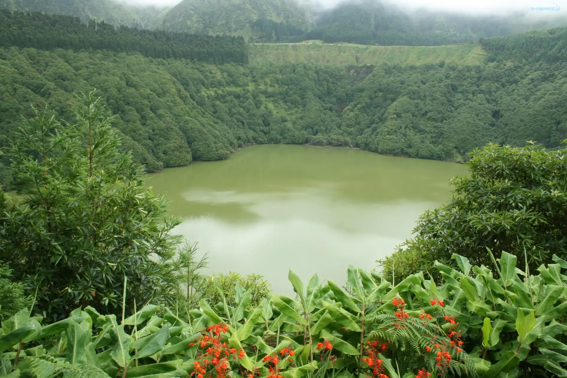 Sao Miguel, Góry, Kwiatki, Portugalia, Zalesione, Jezioro