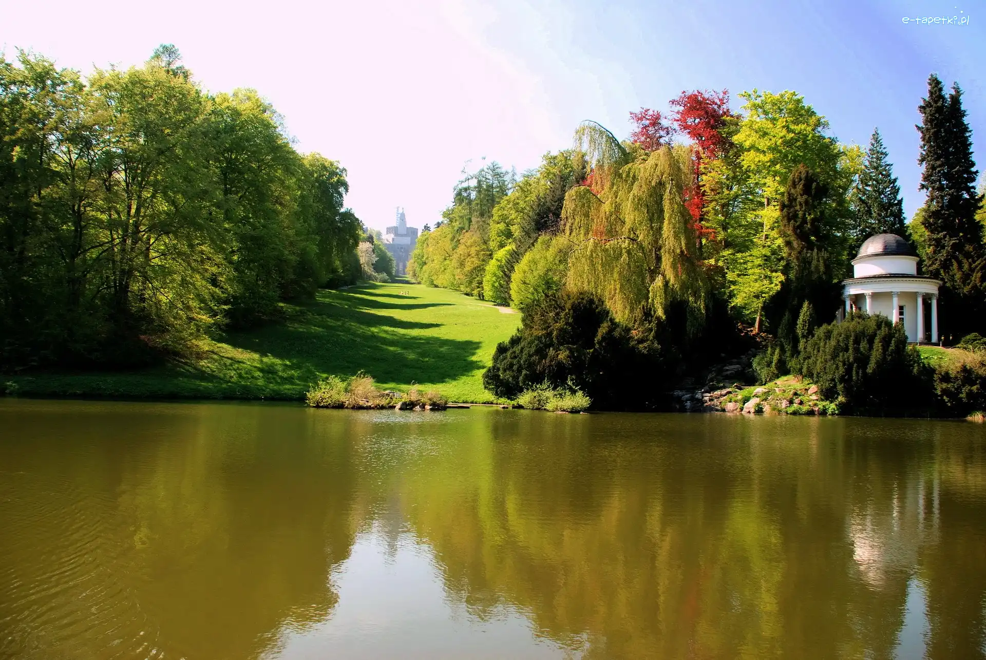 Park, Drzewa, Rzeka