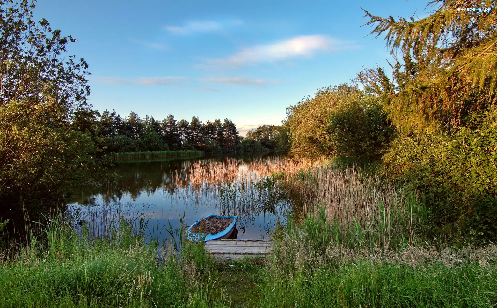 Łódka, Szuwary, Jezioro