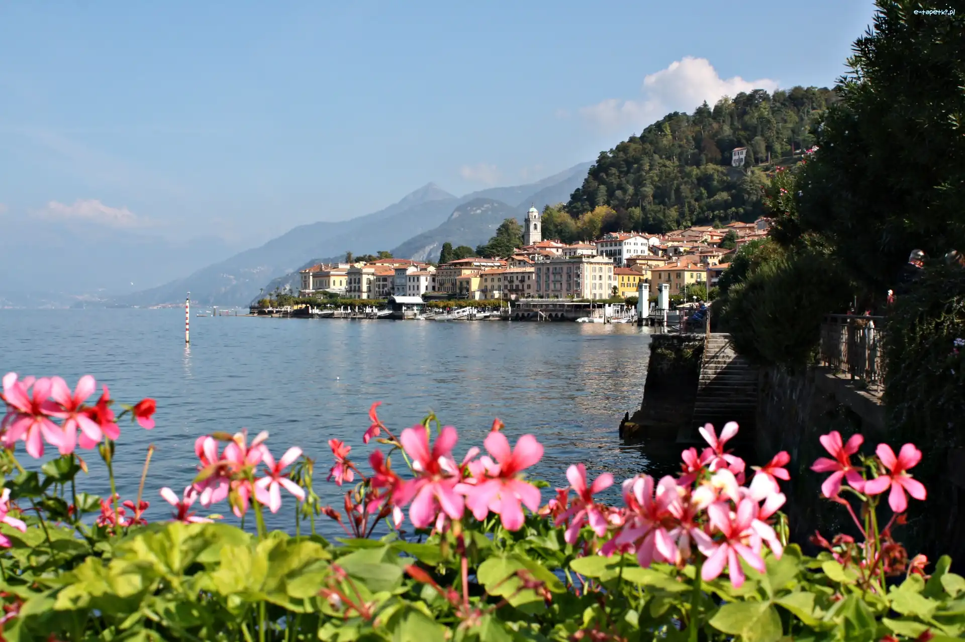 Jezioro, Kwiatki, Como, Włochy, Bellagio