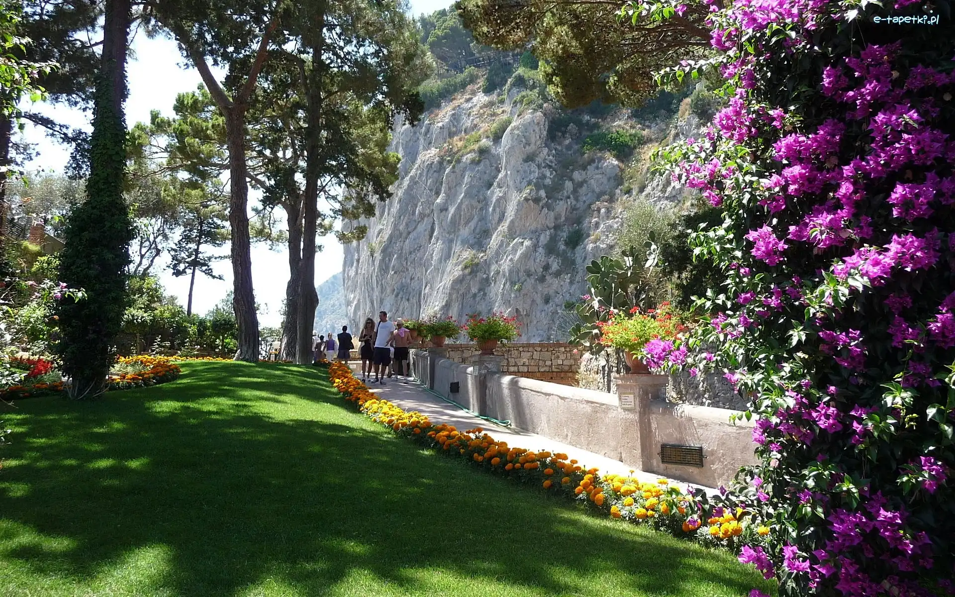 Capri, Kwiaty, Spacerowicze, Włochy, Skała, Park